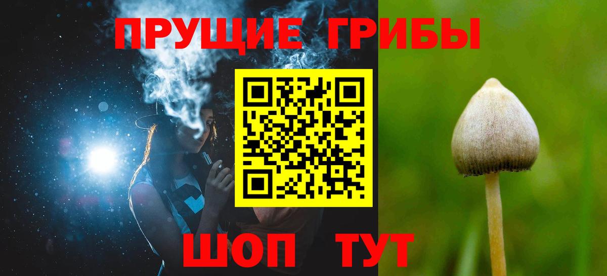 где купить наркотик  Псилоцибиновые грибы MAGIC MUSHROOMS  Вход с VPN  Георгиевск 