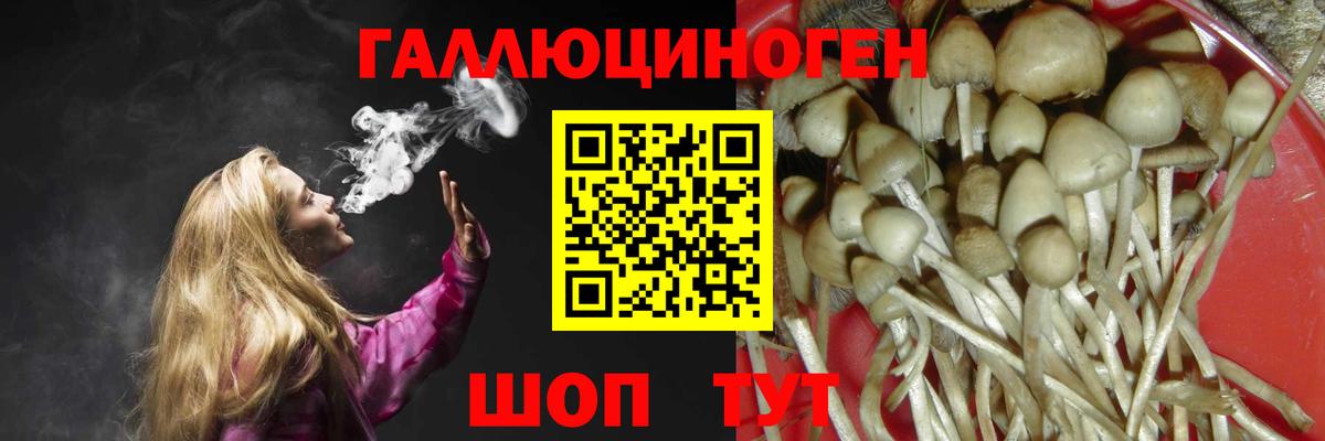 Галлюциногенные грибы мицелий Георгиевск